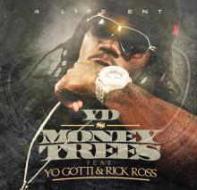 YD Money Trees